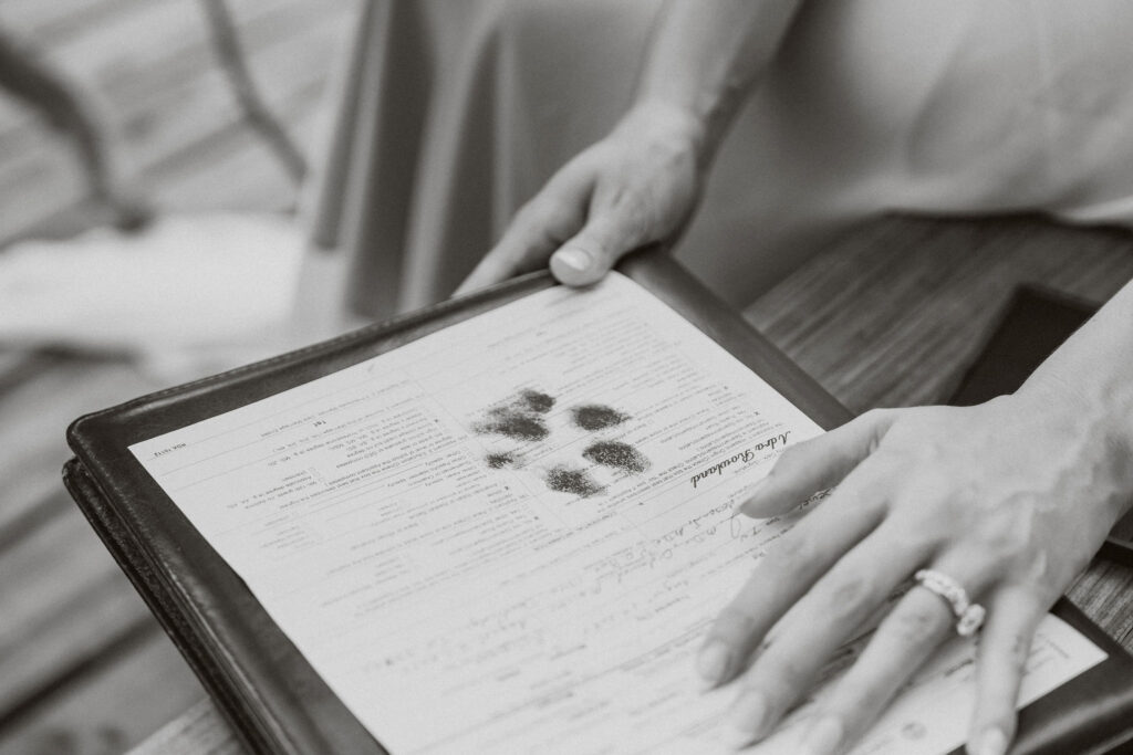 sevierville micro wedding 