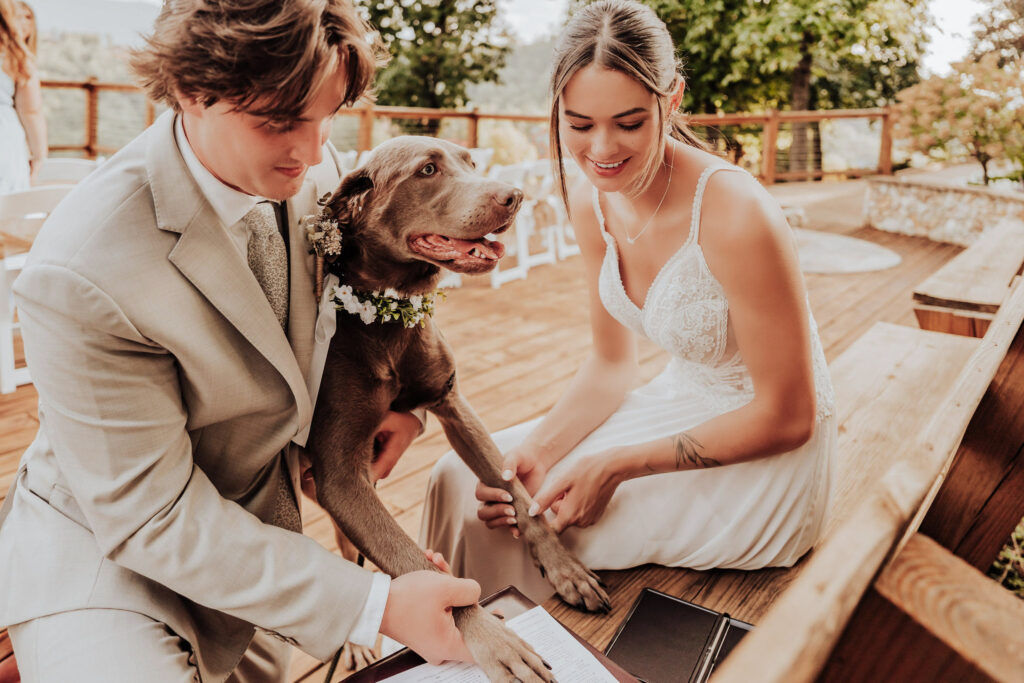 sevierville micro wedding 