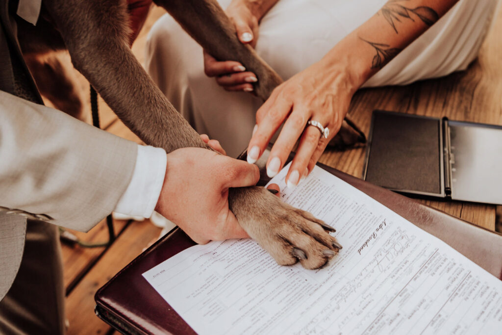 sevierville micro wedding 