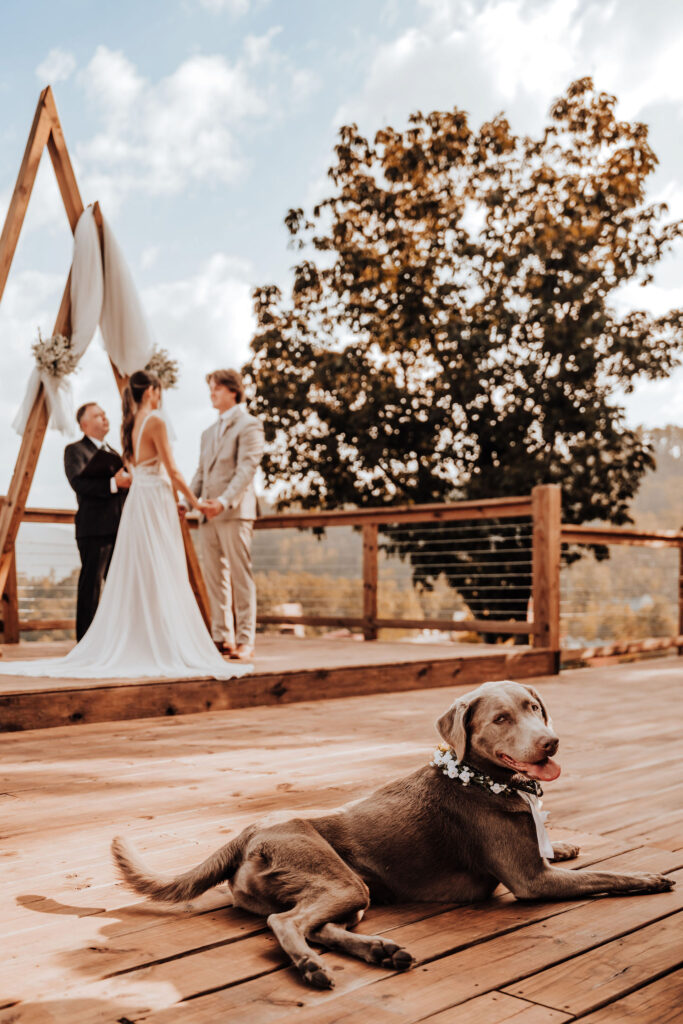 sevierville micro wedding 