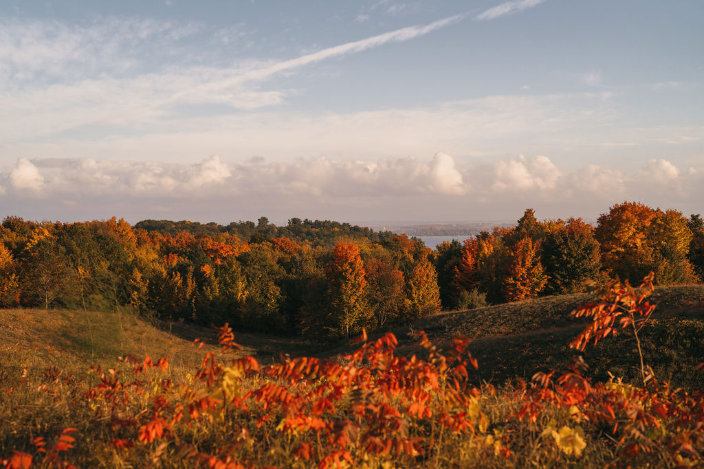 Wide shot of The Overlook in Traverse City, Michigan during the fall with red and orange leaves.