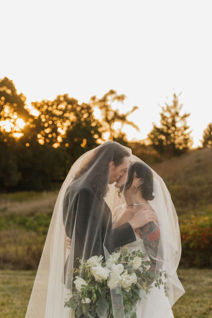 bride and groom kissing under her veil in the hills of brooklyn michigan